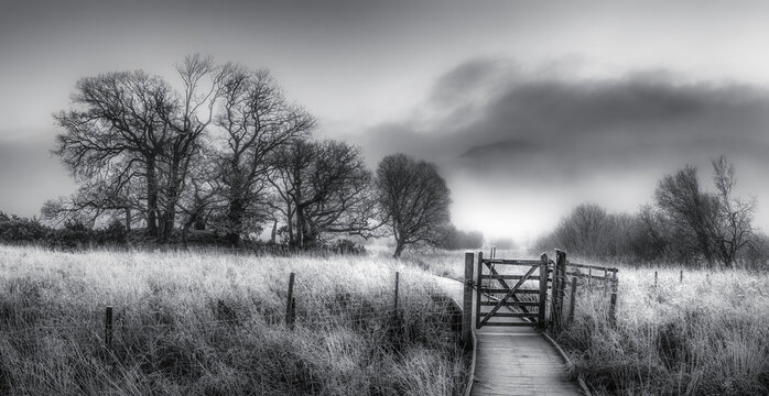 misty morning in the morning