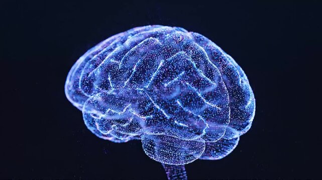 Digital Brain Formed by Particles Synapses Firing Animation 4K Quality