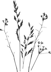 Fototapeta premium Wildflowers and meadow grass silhouettes PNG, bouquet element for minimal elegant wedding stationery corporate identity branding cosmetic packaging and textile print design in dark grey