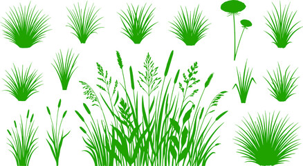 Set of green grass silhouettes featuring meadow plants, wild reeds, and natural botanical vegetation elements for graphic design © mokbul