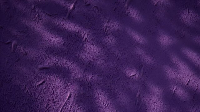 Botanical shadow wall overlay texture background purple plaster surface light abstract pattern modern design creative minimal nature inspired decor surface soft organic pattern subtle plant silhouette