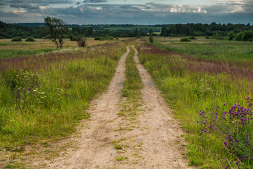 Fototapeta premium Overcast Summer Day on Rural Dirt Road Through Wildflower Meadow, Central Russia