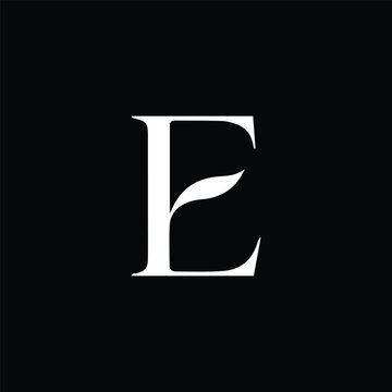 E Letter Logo Icon Vector Design
