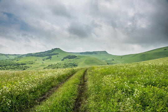 Overcast Summer Day on Green Mountain Meadow with Dirt Track, Greater Caucasus Foothills, Russia