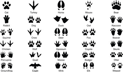 Animal Footprints and Bird Track Silhouette Vector Set Featuring Paw Prints and Hoof Marks for Nature Wild Animal Identification and Outdoor Wildlife Education Designs © Rajiya