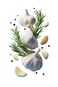 Levitation composition of whole garlic bulbs, peeled cloves, fresh rosemary sprigs, and black pepper corns isolated on a black background.