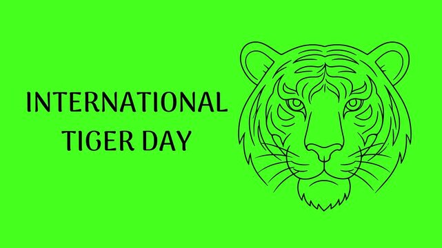 International Tiger Day text animation video on green screen