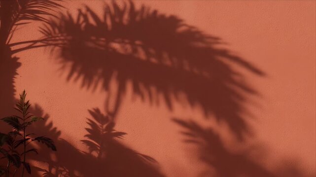 Botanical wall shadow overlay palm leaf plant silhouette under warm sunlight minimal nature decor background tropical abstract foliage design creating calm modern art mood with soft terracotta pattern
