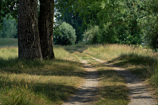 Dirt road path in countryside