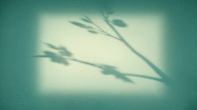 Botanical shadow overlay soft plant branch silhouette green wall background minimal nature abstract calm art decor with tranquil interior design concept and light texture botanical wall shadow