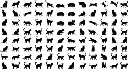 Obraz premium Black and white cats in various poses vector icons