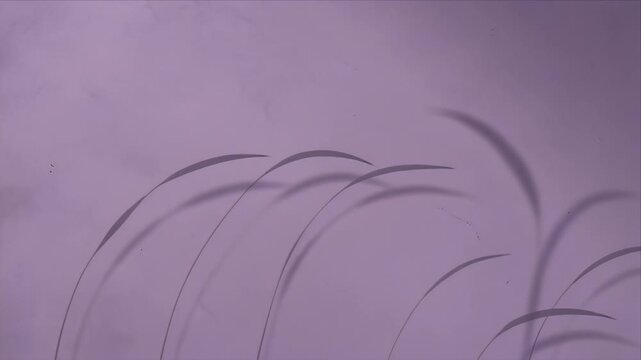 Botanical shadow overlay pastel purple wall background creating soft abstract curve pattern with minimal nature leaf and grass silhouette design softly curved blades calm tranquil art print layout