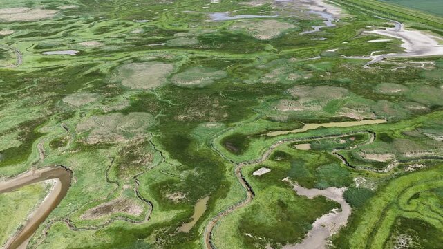 Aerial view of verdronken land van saeftinghe tidal marsh