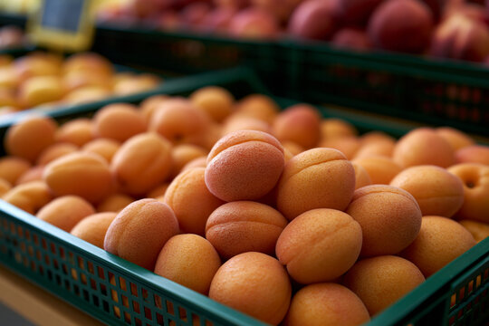 Fresh apricots on display in a market stall
