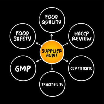 Supplier audit mind map featuring food quality, safety, haccp review, certificate, gmp, and traceability components. Essential visual tool for regulatory compliance, supply chain