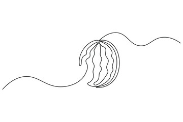 Obraz premium Watermelon fruit continuous one line drawing in a minimalist outline vector style 