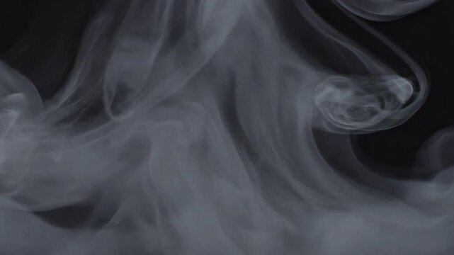 Abstract white swirling smoke wisps rising against a dark black background