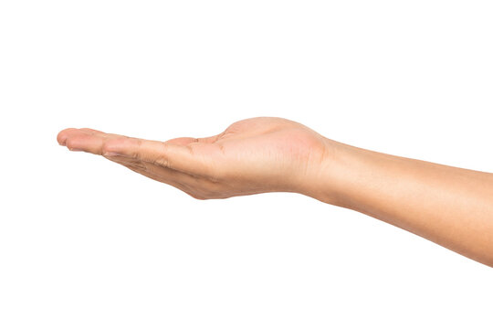 Open human hand with palm facing upward in a presentation gesture, isolated on a white background, symbolizing offering, support, display, receiving, invitation, and product showcase.