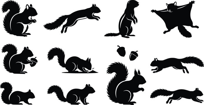 Squirrel silhouettes set featuring different types of rodents like flying squirrel groundhog and chipmunk isolated on white background