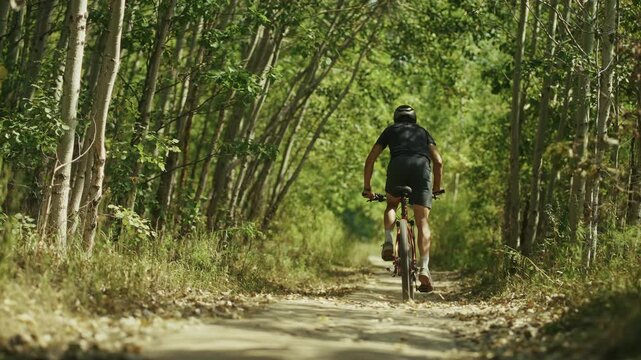 Cyclist Riding Mountain Bike On Forest Trail. Active Healthy Lifestyle