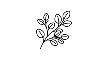 Minimalist botanical line drawing of eucalyptus leaves. © zada