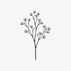 Obraz premium Minimalist botanical line art