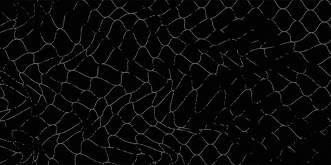 Net texture pattern on white background. Net texture pattern for backdrop and wallpaper. Realistic net pattern with black squares. Geometric background, vector Eps10 © Moh
