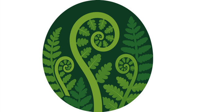 Unfurling fern fronds in lush forest greens, botanical vector illustration with spiral fiddleheads, layered leaves, circular jungle composition for eco, wellness, nature branding and decor