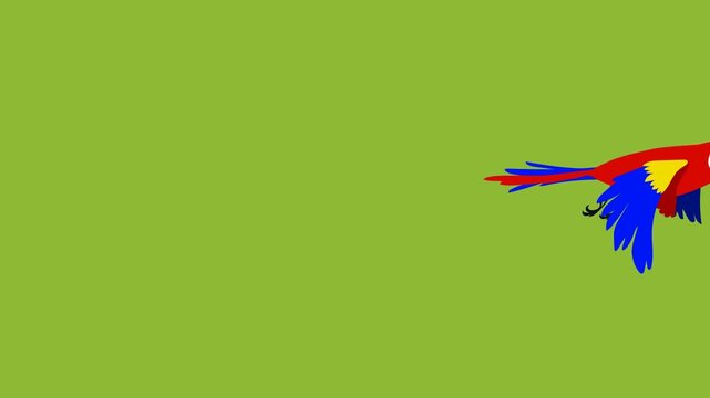Vibrant and colorful cartoon parrot flying gracefully across a bright green screen background, perfect for custom animation keying, creative wildlife storytelling, and educational video projects.