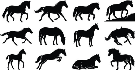 Fototapeta premium Set of twelve black silhouettes of horses in various poses including walking, running, jumping, and resting