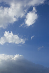 Fototapeta premium It is a blue sky with fluffy clouds.