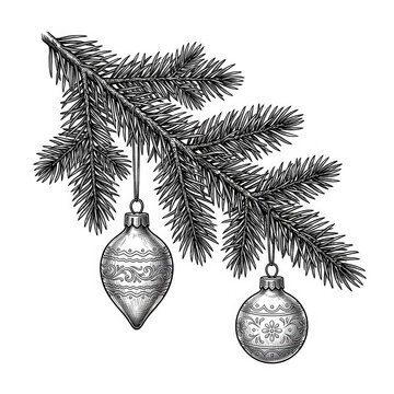 Detailed vintage engraving style pine branch decorated with two ornate festive christmas baubles hanging down on transparent background