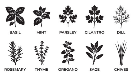 Culinary herbs collection, 10 black vector icons of basil mint parsley and rosemary, botanical leaf silhouettes for kitchen labels and packaging © Toqeer