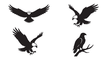 Fototapeta premium Bald eagle silhouette vector set, majestic flying eagle icons, black and white predatory bird illustrations for logos and outdoors branding