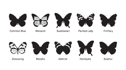 Butterfly silhouette collection with 10 species icons, black monarch and swallowtail vector set, nature insect identification chart for educational design © Toqeer