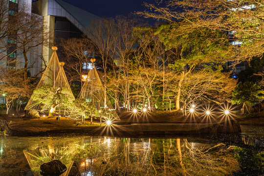 Illuminated Yukitsuri and a row of light flares reflecting perfectly on the pond at Koishikawa Korakuen January 2024