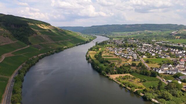 Moselle Valley in summer, Mosel river, aerial view, riesling wine growing on vine, vineyard landscape near Trier, agriculture in Germany