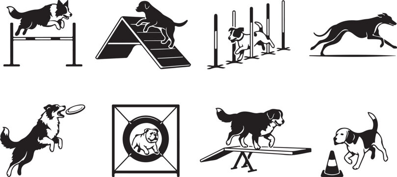 Set of dogs performing agility obstacle course activities with training competition obstacle