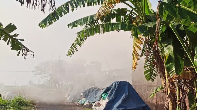 Dense smoke rising from the traditional production of coconut shell charcoal, illustrating the carbonization process, biomass fuel production, and small-scale manufacturing in a rural environment.