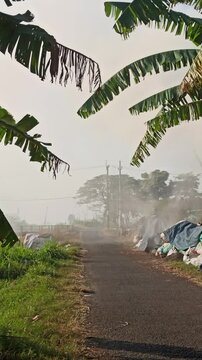 Dense smoke rising from the traditional production of coconut shell charcoal, illustrating the carbonization process, biomass fuel production, and small-scale manufacturing in a rural environment.