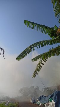 Dense smoke rising from the traditional production of coconut shell charcoal, illustrating the carbonization process, biomass fuel production, and small-scale manufacturing in a rural environment.