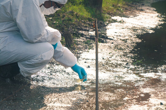 Comprehensive water quality inspection and scientific testing for clean water protection.