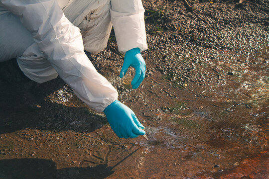 Professional laboratory technician inspecting water samples for chemical contamination.