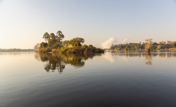 palm trees at sunrise on the Zambezi River, Zimbabwe, Africa