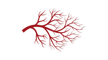 Fototapeta premium Abstract illustration of human blood vessels or capillary system on a white background.