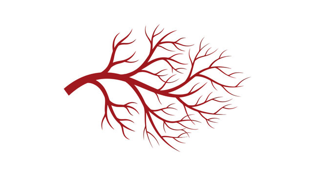 Abstract illustration of human blood vessels or capillary system on a white background.