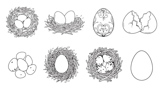 Line art collection of bird nests eggs and cracked shells with wildlife illustration isolated hatching