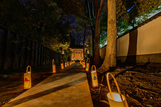 A path lined with illuminated paper lanterns leading to the Inari shrine at night in Koishikawa Korakuen January 2024