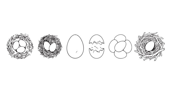 Collection of bird eggs and nests hand drawn illustration with wildlife birdsnest collection illustration