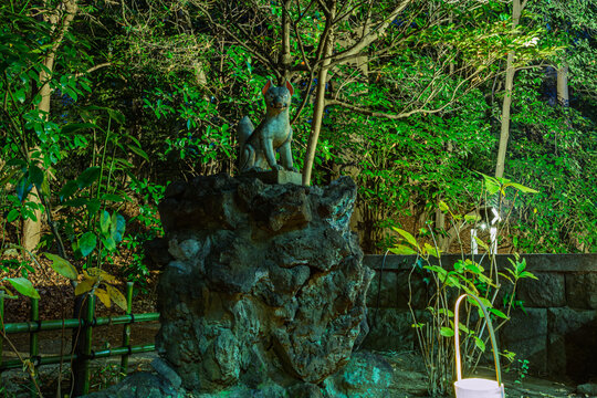 Stone fox statue standing against illuminated green trees at night in Koishikawa Korakuen January 2024